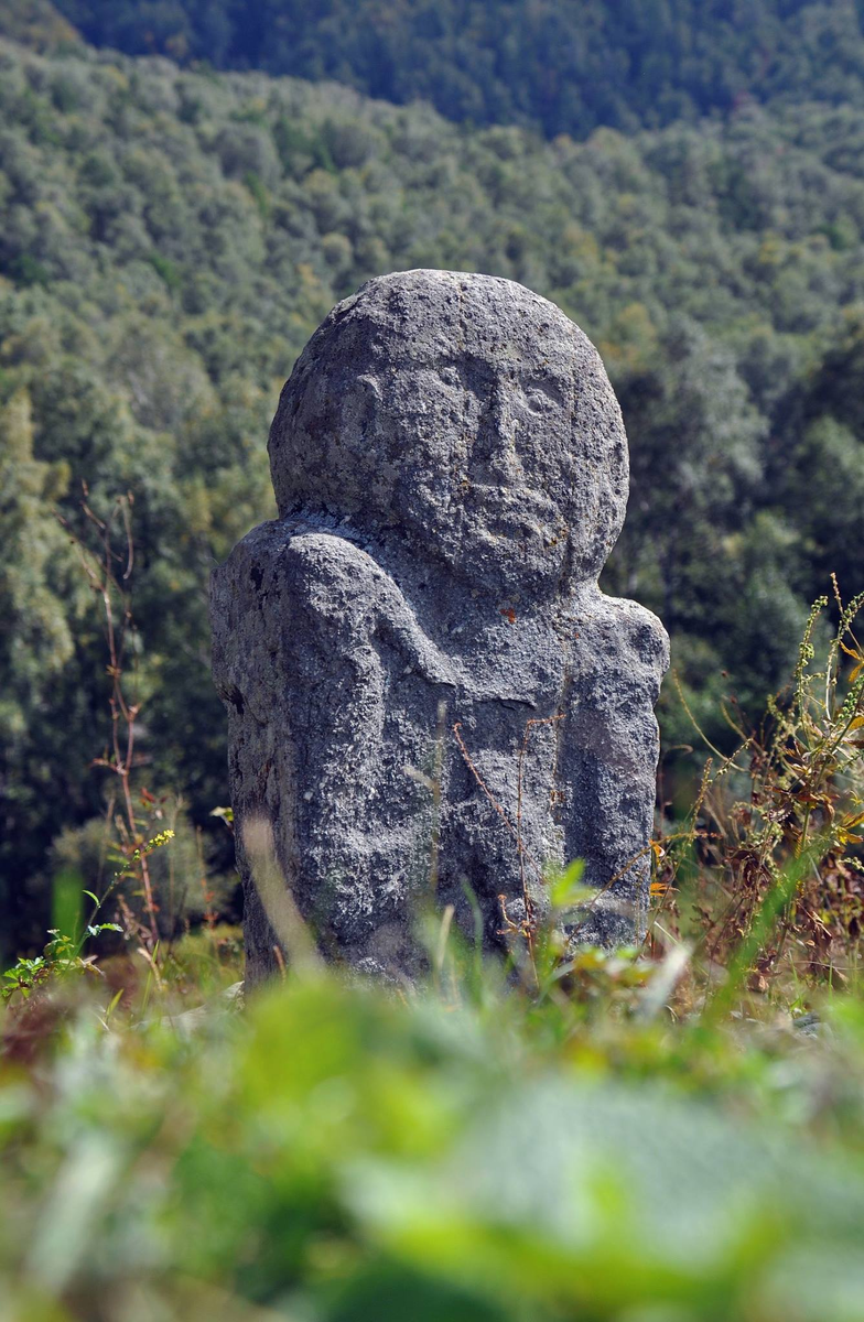 Источник: altzapovednik.ru