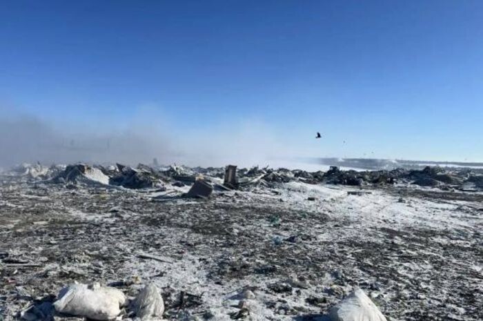 Иллюстрация: Телеграмм-канал Антонины Пшеничной