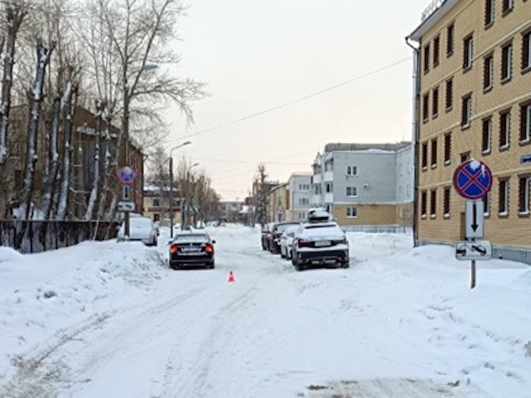     Фото пресс-службы УМВД России по Архангельской области