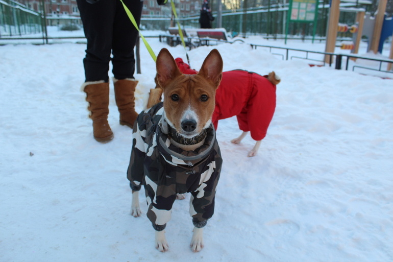    Фото: Мойка78/ Надежда Цветкова