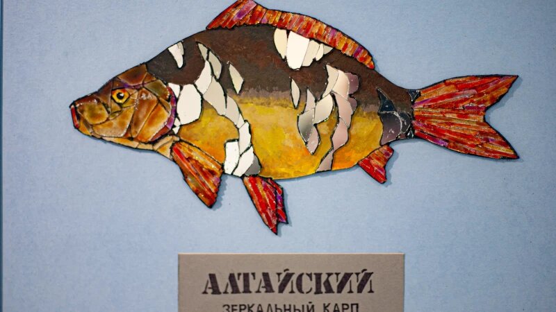     Выставка «Молодежка 5» в выставочном зале музея «Город». Дарья Беркетова