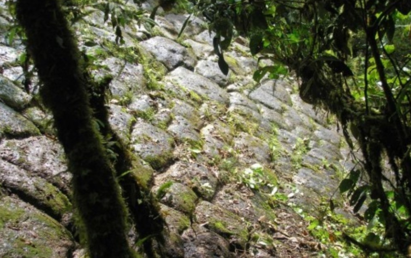 В джунглях Эквадора нашли «город великанов»? 80 метров камня и молоты по 60 кг