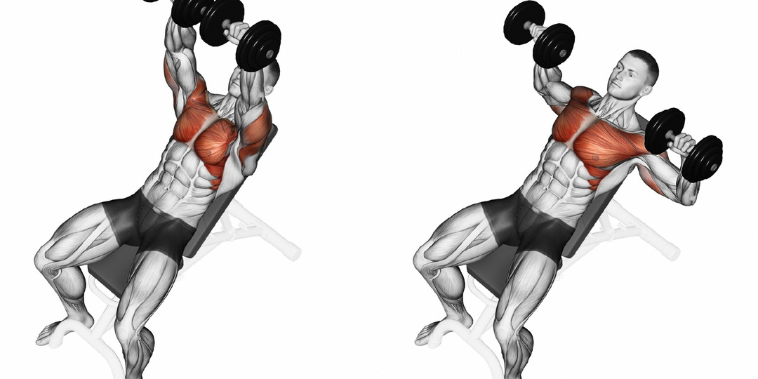 ЗАБУДЬ ПРО ШТАНГУ! Почему жим гантелей на наклонной скамье — это ЛУЧШЕЕ, что ты можешь сделать для груди.