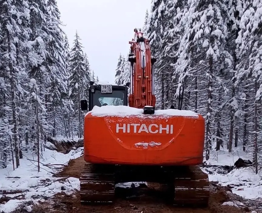    фото: © ГКУ РК «Пряжинское центральное лесничество» / VK