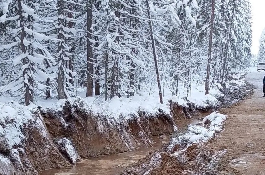    В Карелии выявлено нарушение при строительстве лесной дороги© ГКУ РК «Пряжинское центральное лесничество» / VK