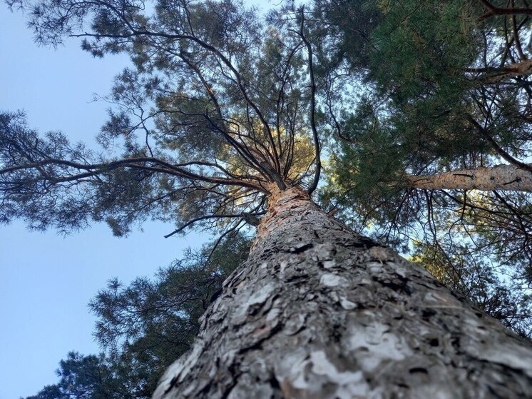     Фото: Юрий Роганов