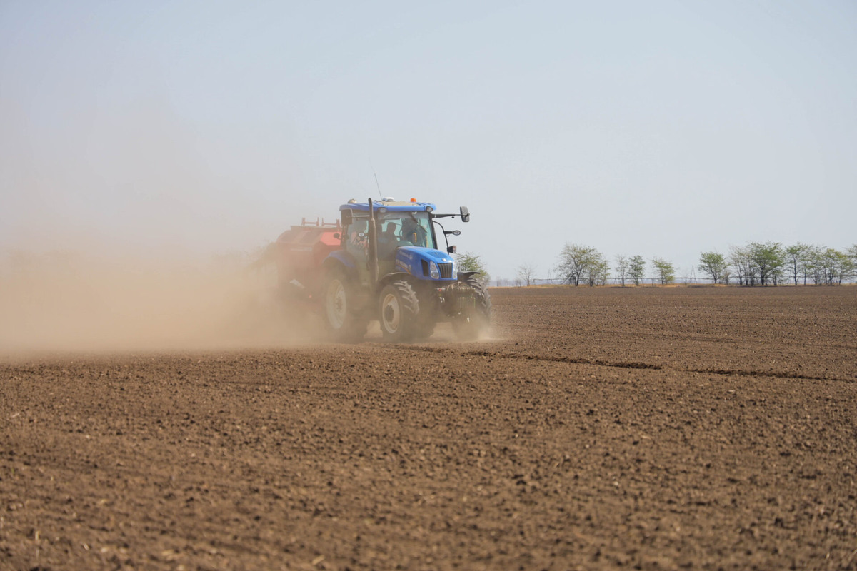    Фото: ТРК «Таврия»