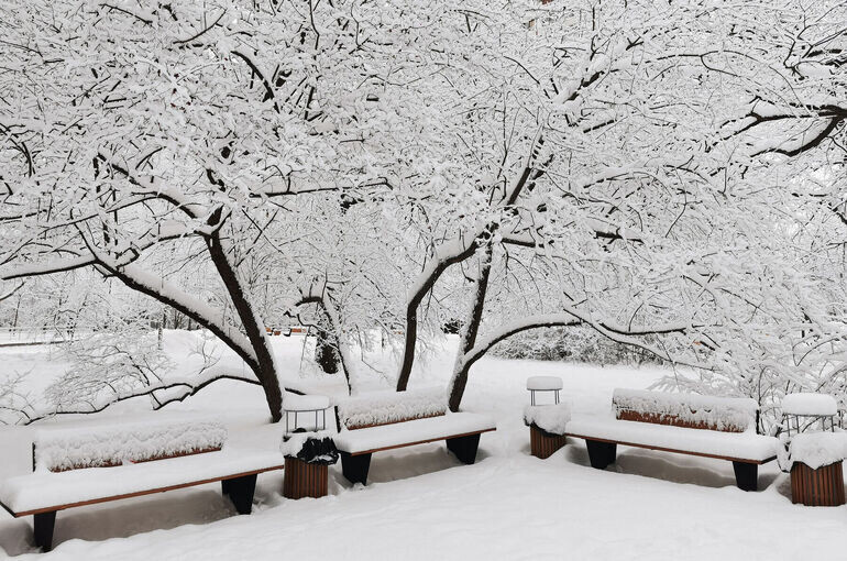   Игорь Самохвалов/«Парламентская газета»