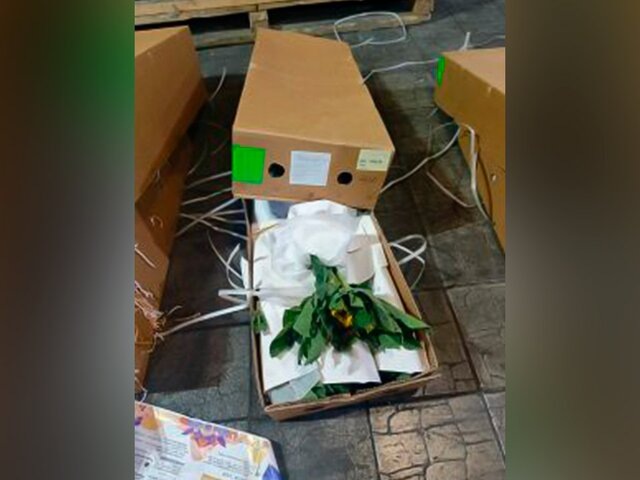    Фото: 125.fsvps.gov.ru