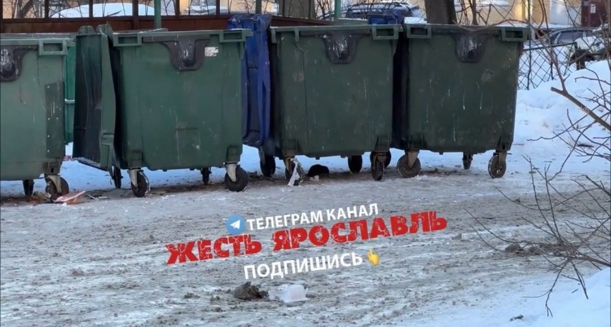    Жесть Ярославль
