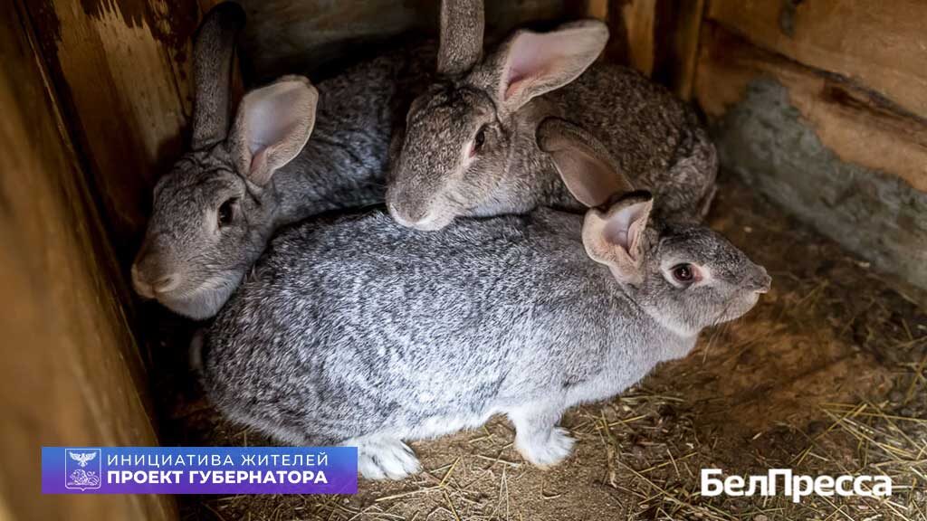     Фото: Павел Колядин