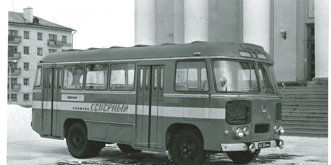 Северный олень, ну почти