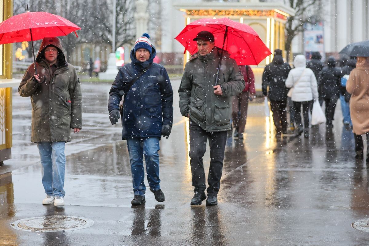     / Источник: © Алексей Белкин/NEWS.ru/ТАСС