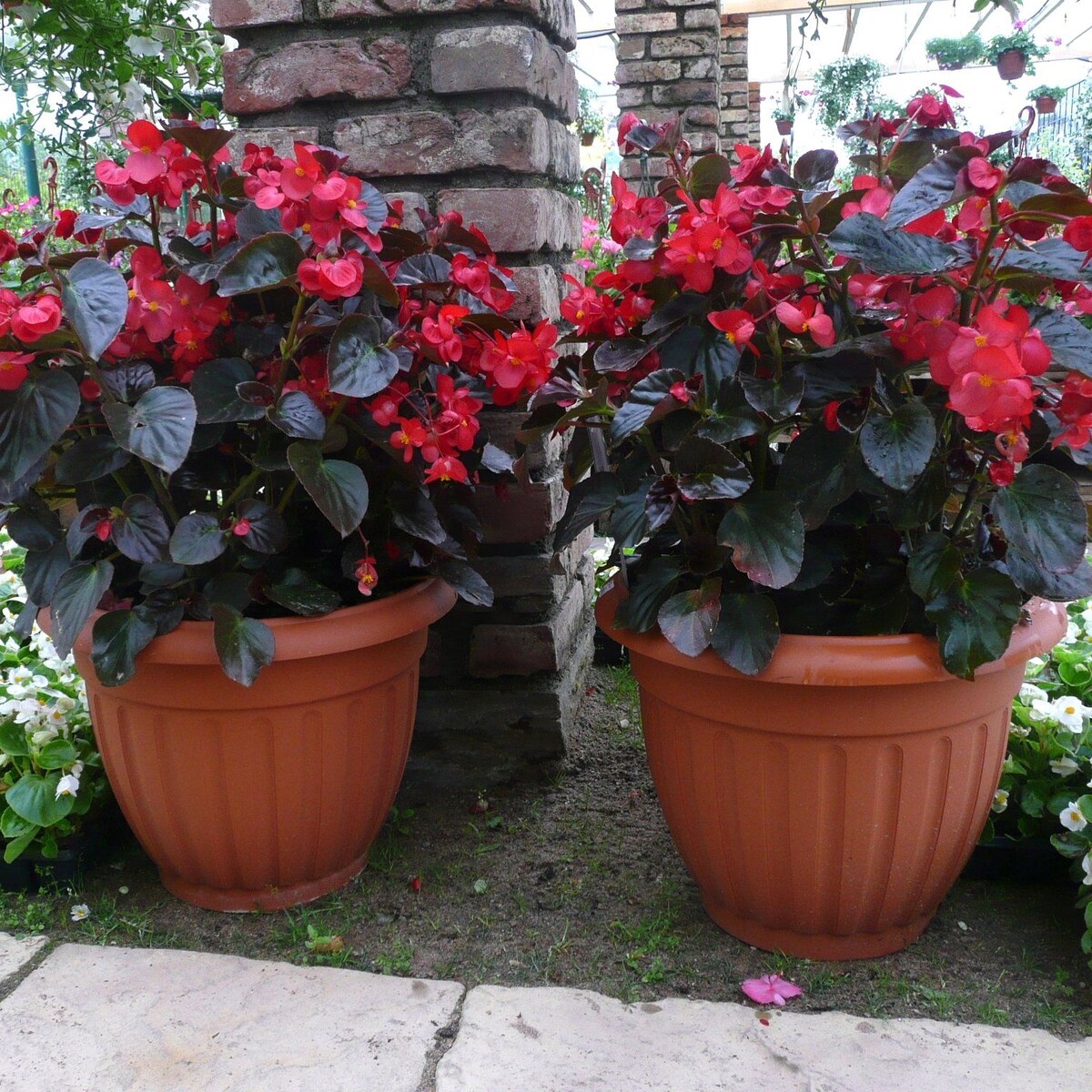 Фотография из интернета