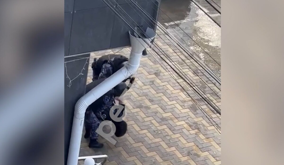     / Источник: © Кадр из видео