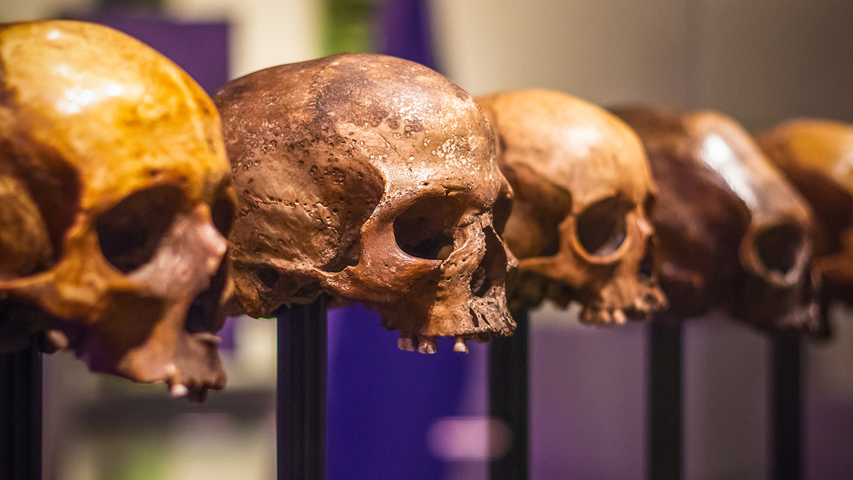 - Архивное фото