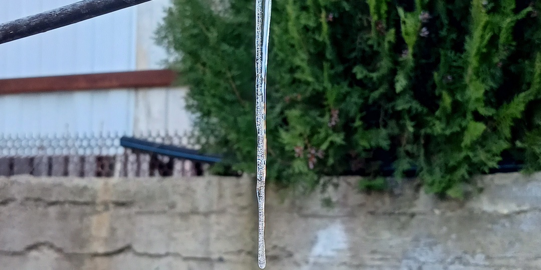 11 февраля. Весна пришла