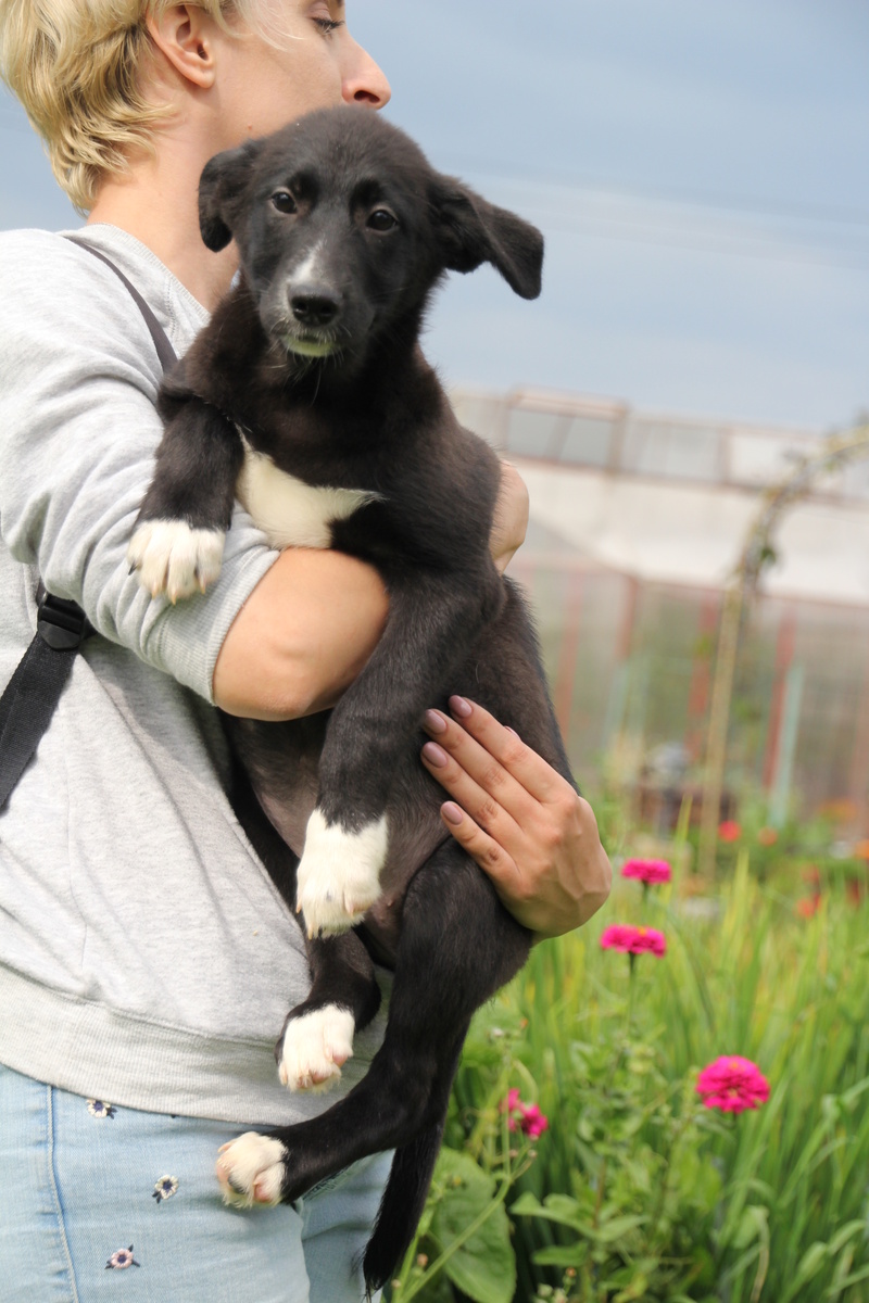 А вы как-будто люди все необычные...