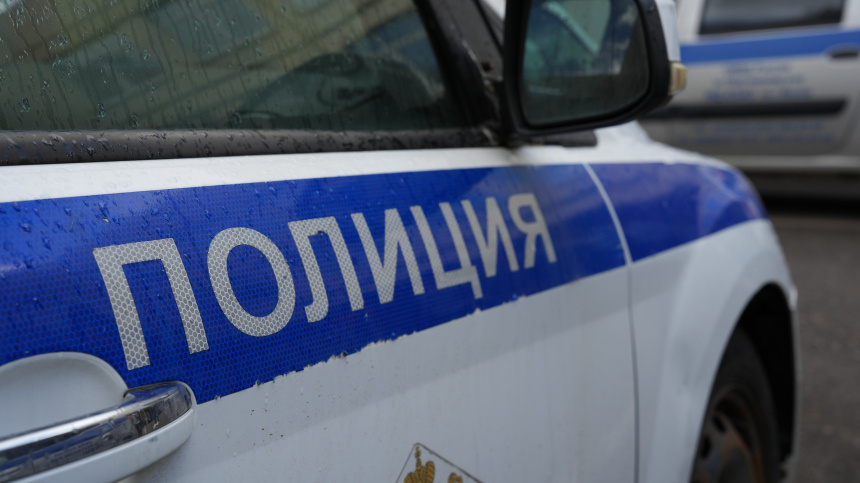    Фото: ИЗВЕСТИЯ/Дмитрий Коротаев; 5-tv.ru