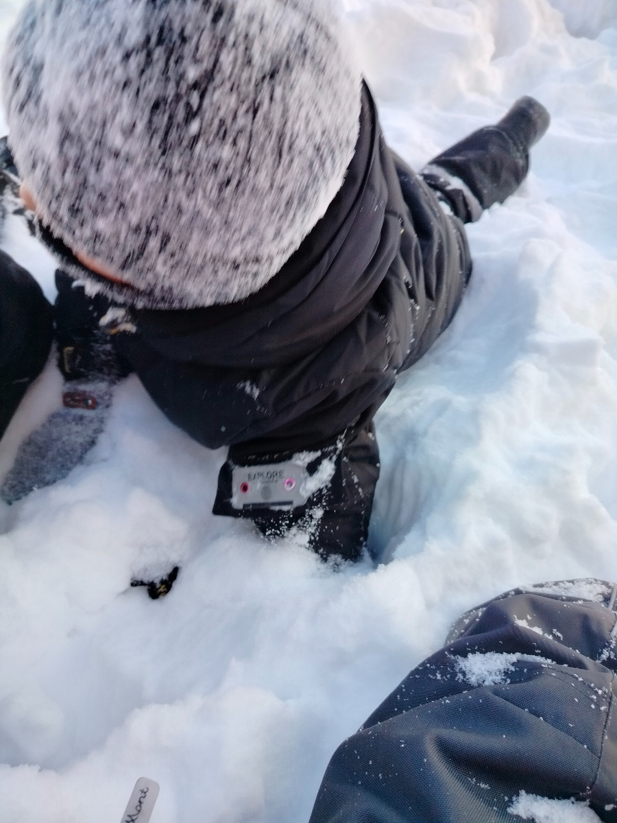 Навоз среди роз💩🌹 (Мирон Игнатьев)