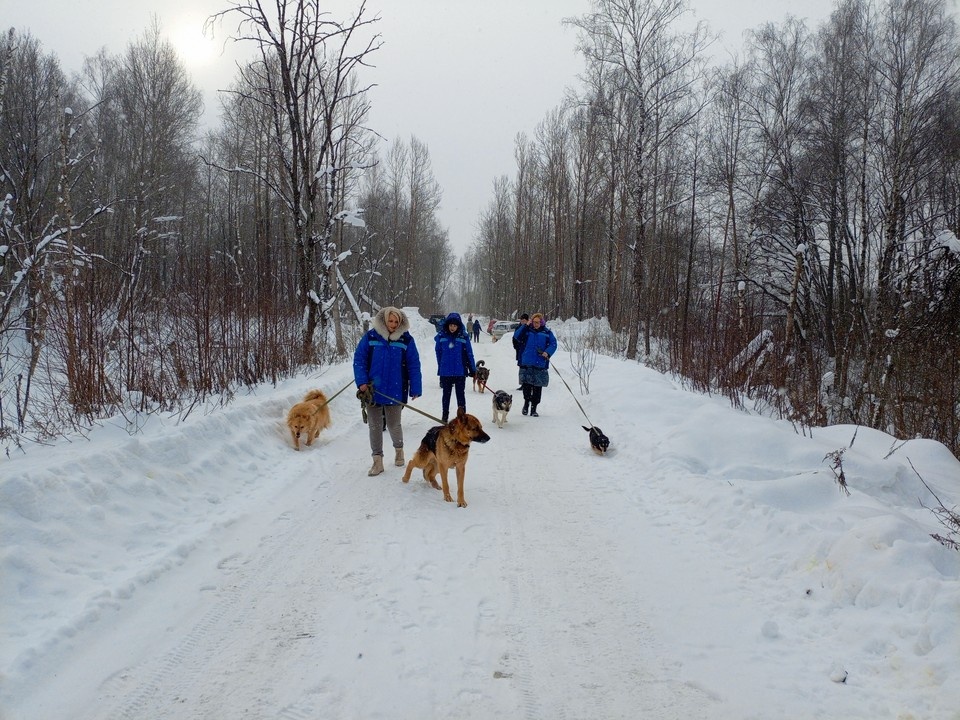    Фото: Газпром межрегионгаз Калуга.