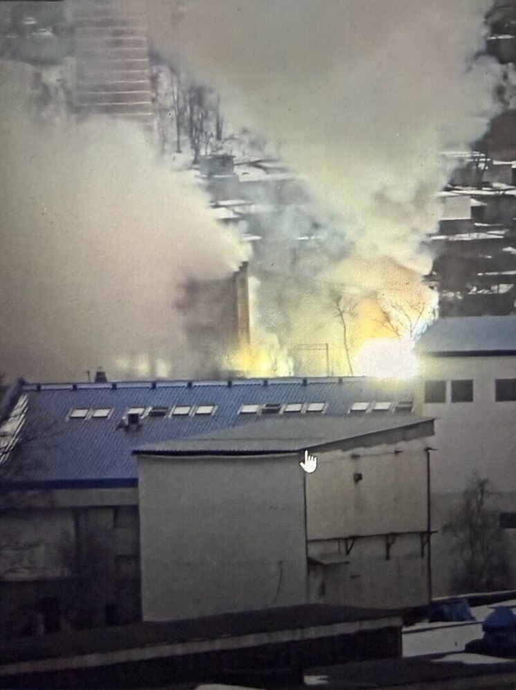     фото: скрин видео