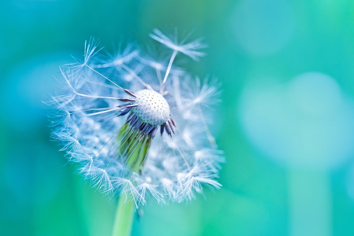 Источник фото: getty images