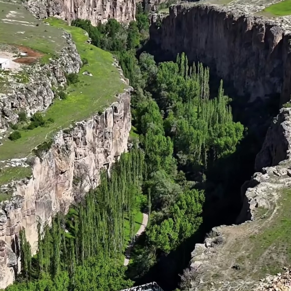 Вид на каньон с высоты. Фото из интернета 
