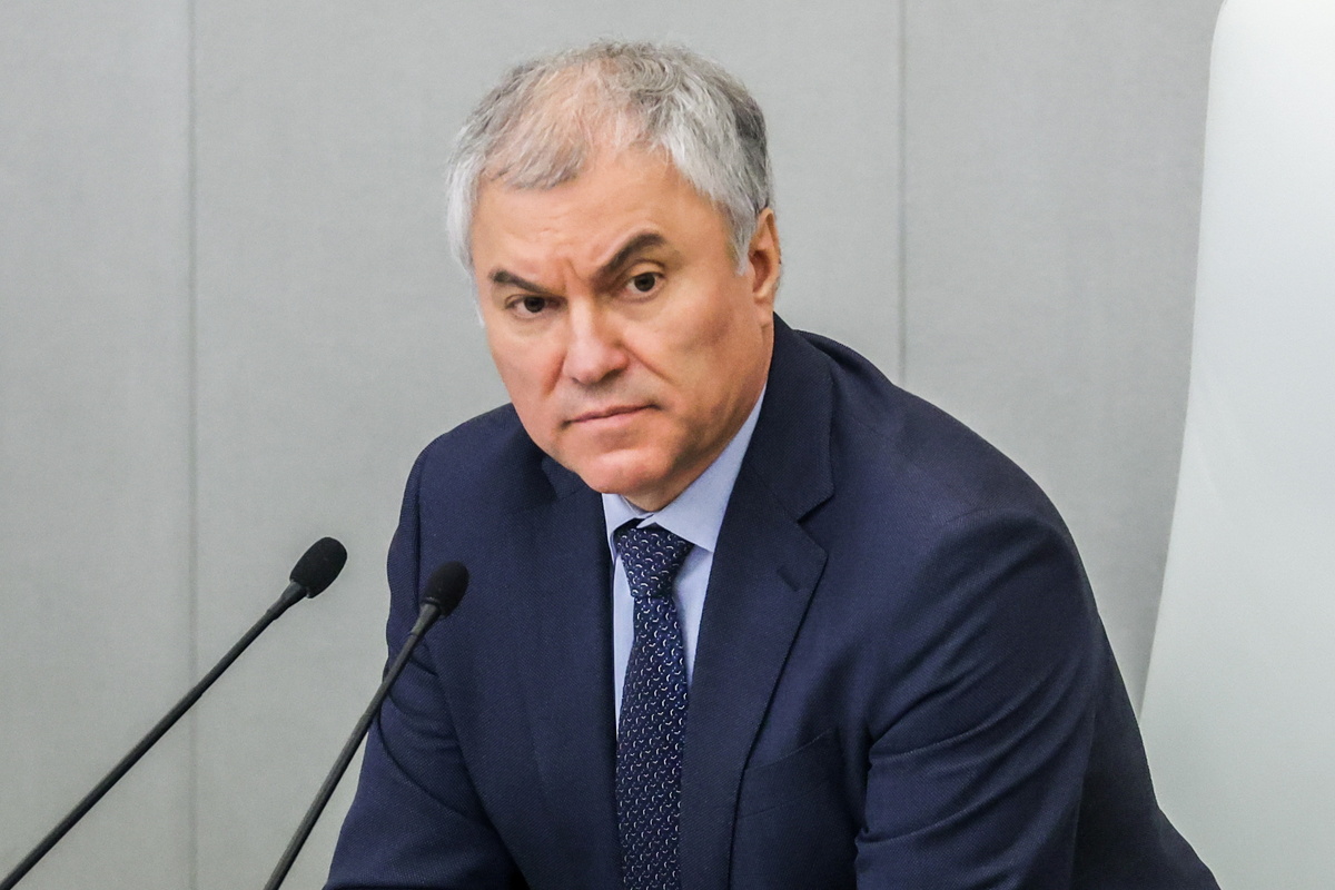    Спикер Госдумы РФ Вячеслав Володин  Сергей Фадеичев/ТАСС