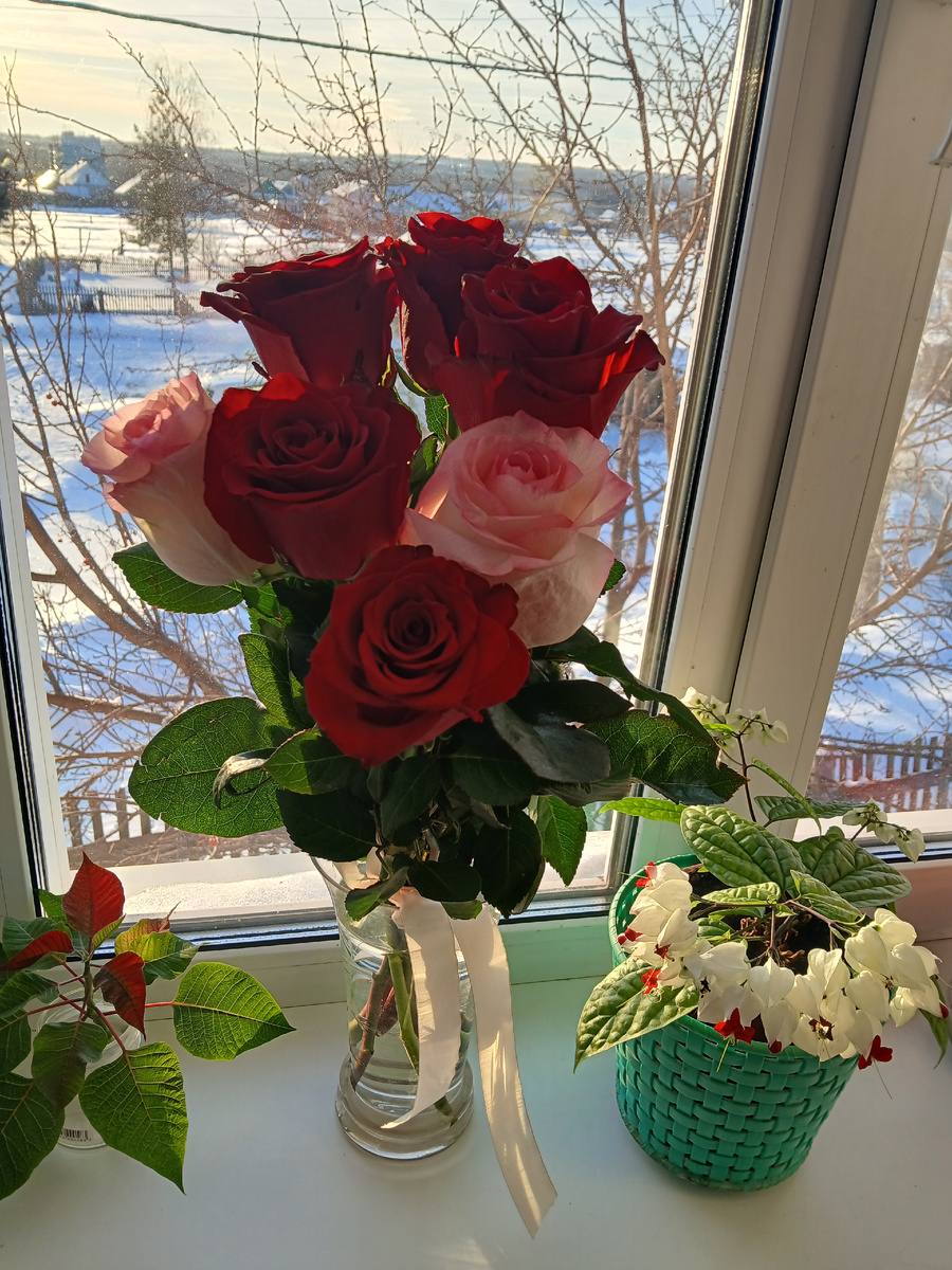 Фото моё. Букет от мужа на 42-ю годовщину свадьбы. Сказал две светлые розы в букет добавил  - это спасибо за наших двух дочек