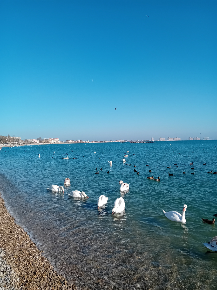 Авторское фото.