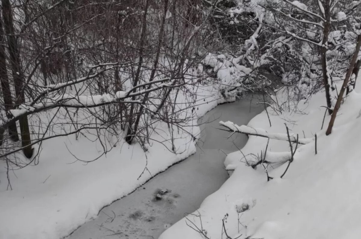    В Туле 12 февраля ожидается снег и до -5℃