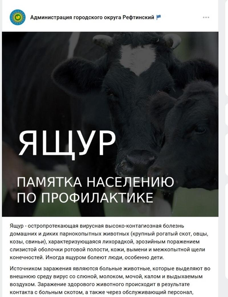    Скриншот объявления от администрации Рефтинского