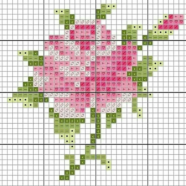 Фото из интернета.