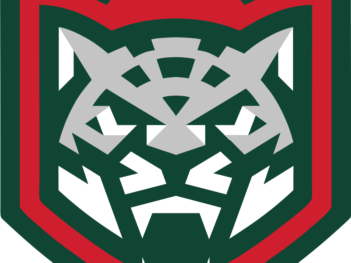    ХК Ак Барс эмблема | © Фото