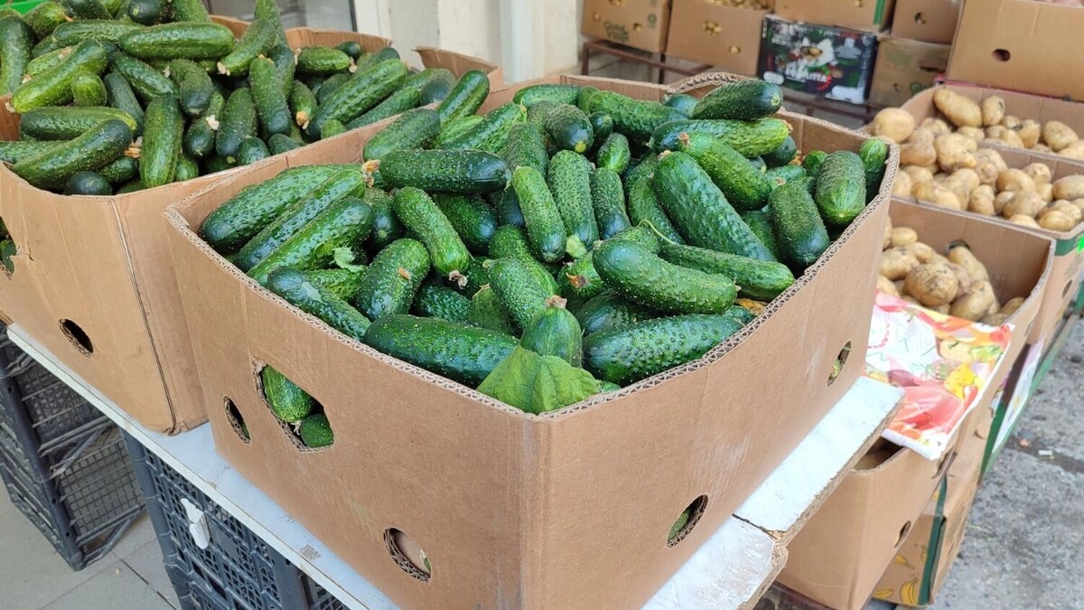    Цены на привычный овощ шокировали новосибирцев   1MI