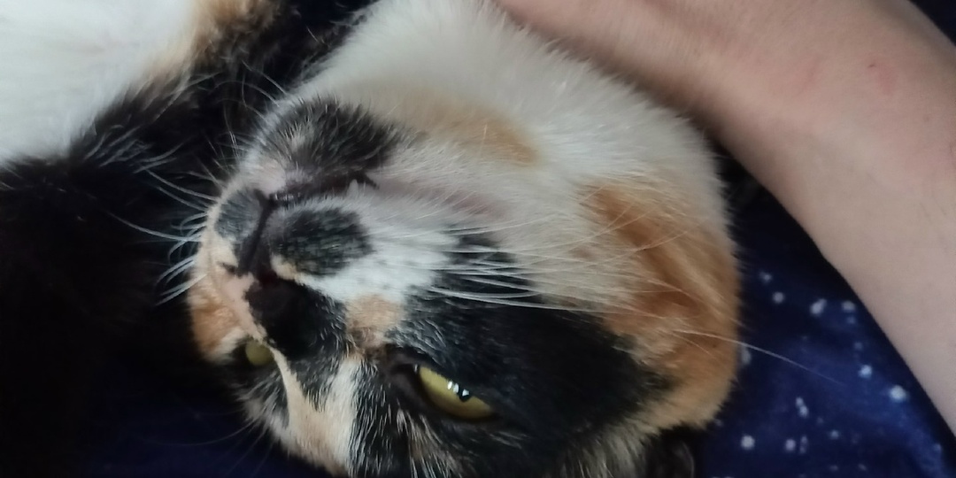 Второй год малярки. Планируем и страдаем