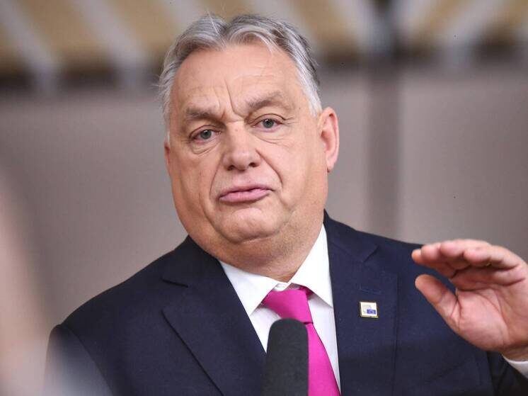     © IMAGO/dts Nachrichtenagentur/www.imago-images.de/Global Look Press