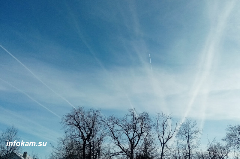    Камышин. Множественные следы от самолётов в небе (11 февраля 2026 год)
