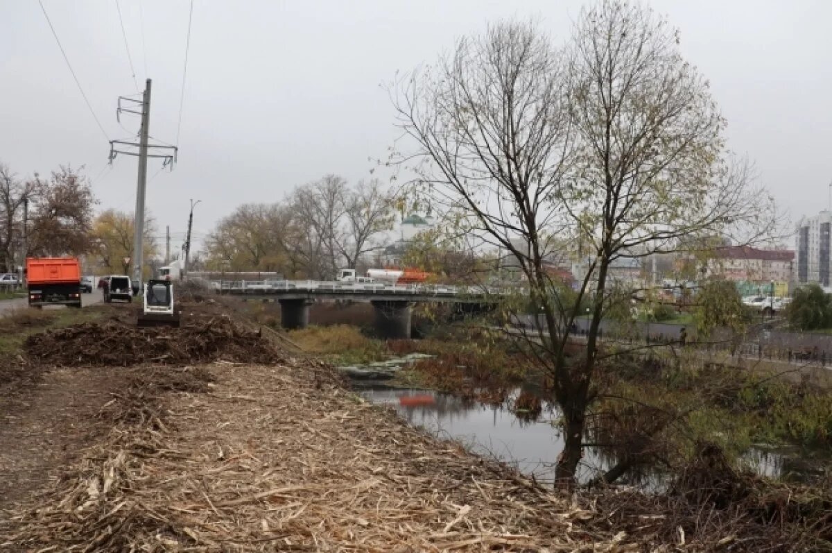    15 километров реки Тускарь в Курской области планируют очистить в 2026-м