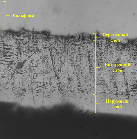 Вольфрам в разрезе  📷
