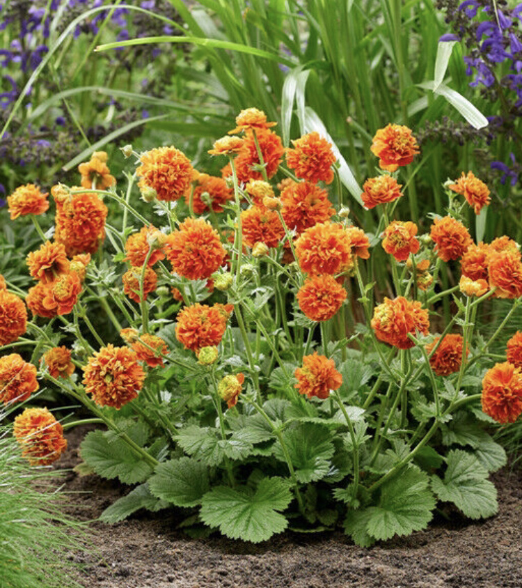 Рекламная картинка