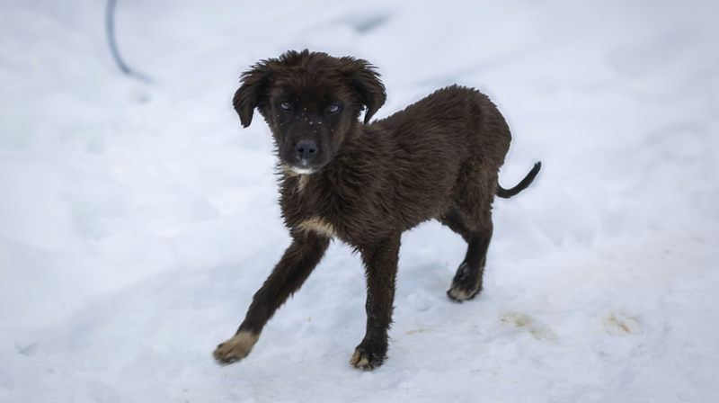     asif sharif/Unsplash