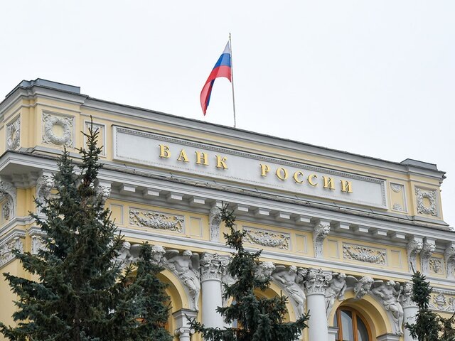    Фото: Москва 24/Никита Симонов