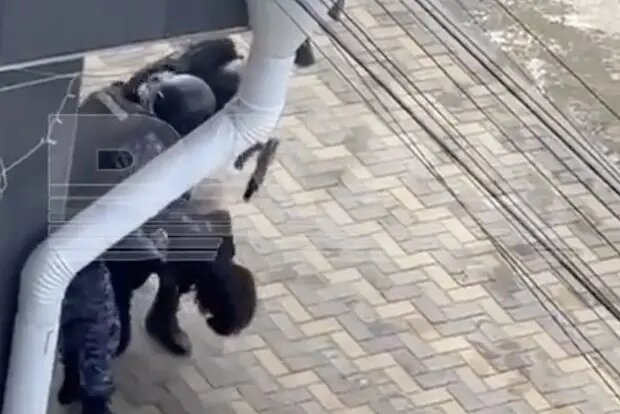    Фото: lenta.ru Вероника Ситникова