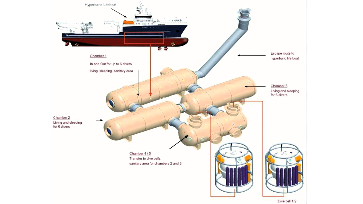 Устройство жилых камер на корабле. Источник: pmc.ncbi.nlm.nih.gov
