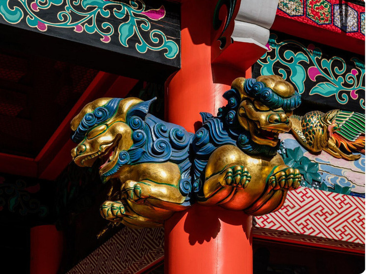     фото: ru.freepik.com