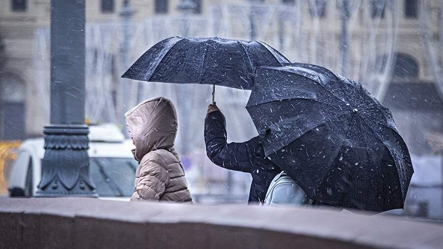    Фото: ИЗВЕСТИЯ/Константин Кокошкин