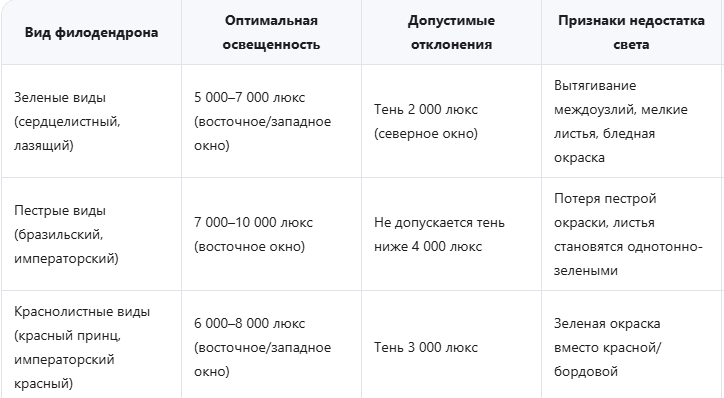Идеальное освещение для разных видов филодендрона