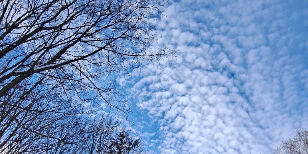 Мой день в фотографиях. Мои задачи на сегодняшний день банальны.